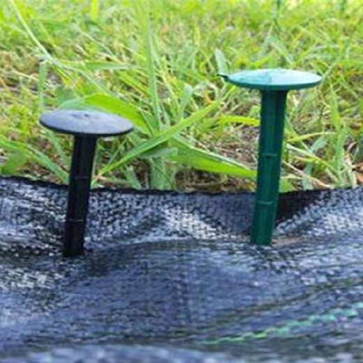 东营塑料地钉设备塑料地布钉生产设备型号,地钉设备