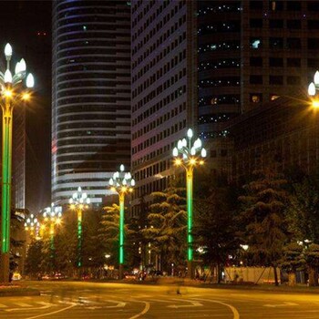 汉中汉台区玉兰灯生产厂家12米10米玉兰灯多少钱