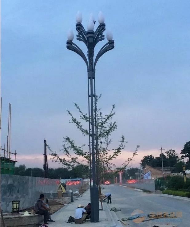 德阳罗江县LED玉兰灯6米7米出厂价一整套,玉兰灯多少钱