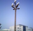临汾安泽县玉兰灯12米15米多少钱广场灯玉兰灯生产厂家