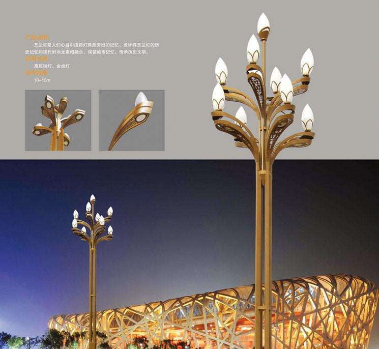 成都蒲江广场景观玉兰灯10米出厂价一整套