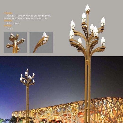 内江市中区广场景观玉兰灯10米出厂价一整套