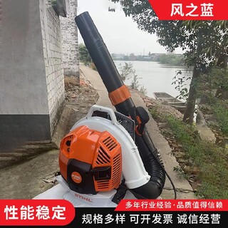 上海风力灭火机厂家图片1