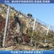 茂名边坡被动保护网被动柔性网厂家