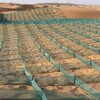 方格沙障的功能防沙围网用于绿化生态恢复治沙工程