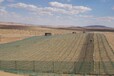 河北厂家高立式防沙障网1.5米防沙网用于沙漠公路两侧挡沙防护