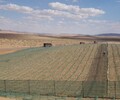 新疆昆玉尼龙网高立沙障栅栏沙漠公路养护防沙网150cm120cm