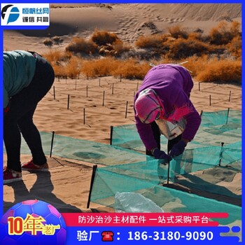 0.2mPE防風固沙網(wǎng)沙化土地大面積方格網(wǎng)治沙造林綠化