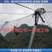 汉中sns柔性主动防护网边坡防护网规格型号