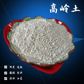 醫(yī)藥高嶺土造紙水洗軟質(zhì)高嶺土耐火材料陶土