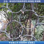 牡丹江边坡护网山体被动拦石网生产厂家图片0