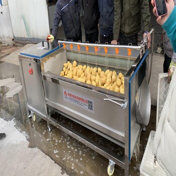 定制土豆清洗机报价及图片