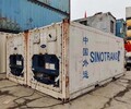 南京从事冷冻集装箱租赁尺寸大小