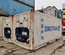 武汉冷冻集装箱温度调节图片