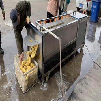 诚达食品机械土豆毛辊清洗机,便宜土豆清洗机材质