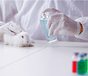 钦州动物毒理检测动物毒理测试-CMA资质检测实验室,化妆品毒理检测