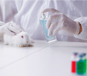 玉林亚慢性毒性检测动物毒理测试-CMA资质检测机构,化妆品毒理检测