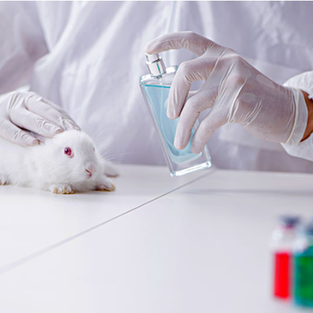 佛山皮肤变态反应检测动物毒理测试-CMA资质检测实验室
