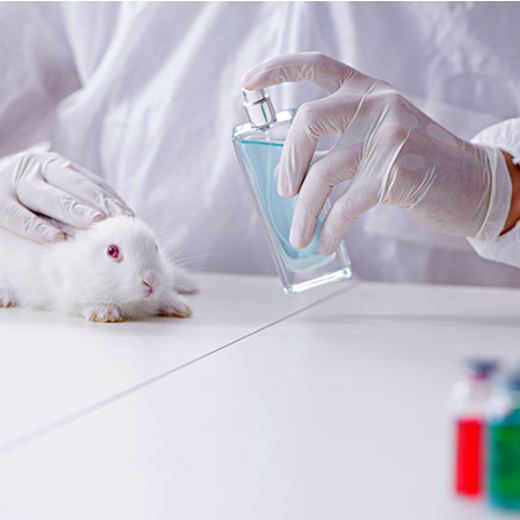 东莞皮肤刺激性检测动物毒理测试-CMA资质检测实验室,生物毒理检测
