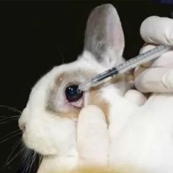 华科检测中心生物毒理检测,永州单次皮肤刺激检测动物毒理测试-CMA资质检测机构