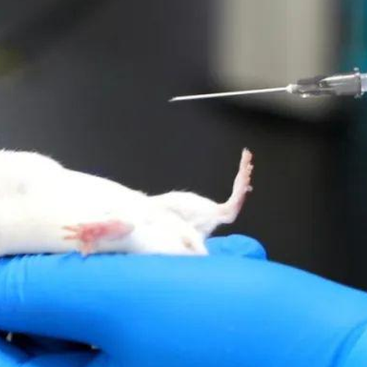 濮阳多次皮肤刺激试验动物毒理测试-CMA资质检测实验室