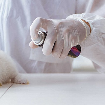 玉林皮肤刺激性检测动物毒理测试-CMA资质检测机构