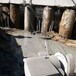 宁夏银川混凝土切割楼板拆除厂家房屋切割桥梁切割拆除