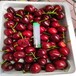 吉塞拉矮化樱桃合作社出售树苗早中晚成熟品种惠农农业