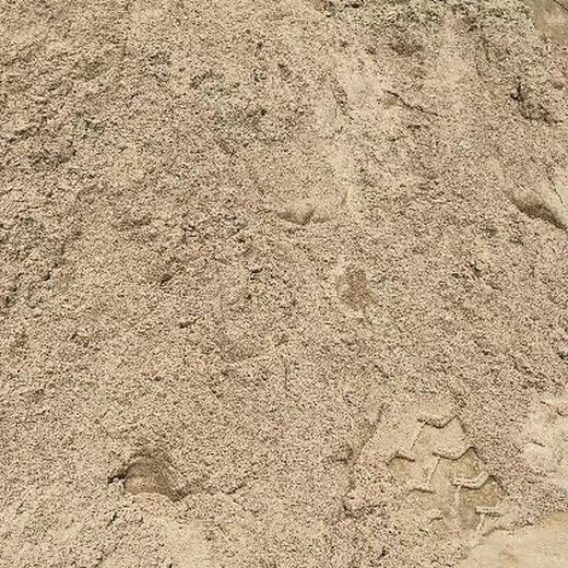 深圳哪里有细沙