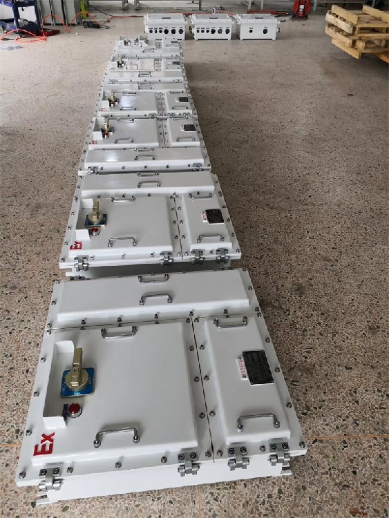 一氪防爆照明动力配电箱,上海防爆配电柜防爆配电箱碳钢T6