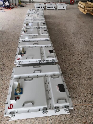 一氪防爆照明动力配电箱,重庆防爆工业插座箱防爆配电箱IP65