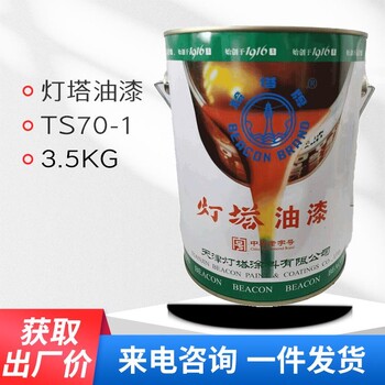 TS70-1飞机蒙皮用聚氨酯无光磁漆天津灯塔油漆3.5kg/套