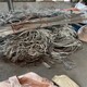 上海铜线回收多少钱图