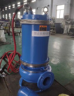 枣庄ZJQ型潜水渣浆泵公司图片1