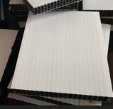 固安塑业合金塑料模板,湖北生产中空塑料模板租赁图片4