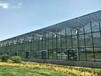安徽玻璃温室供应商