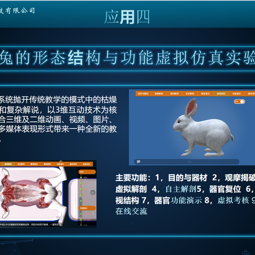 湖南怀化提供VR教学培训平台制作