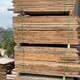 惠州上门回收木头图