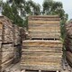 深圳木材回收图