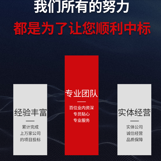 杭州做标书的公司狐域标书全程指导