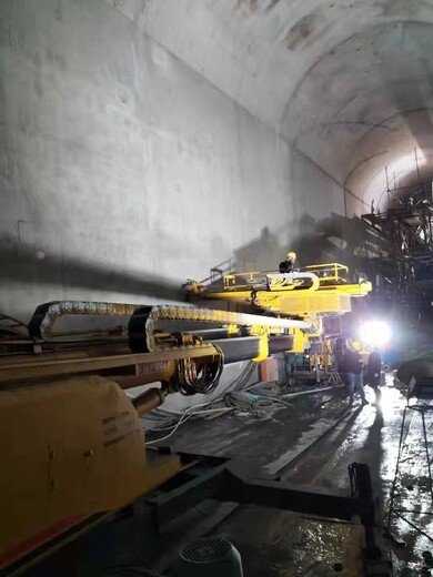 天津滨海新区国产履带式隧道锚固钻机