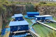 中大泵業浮船式泵站,渝北浮船式取水泵站報價