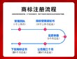 深圳光明新区图形商标注册申请当天受理,个人注册商标申请图片