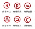 深圳龙华免费检索商标注册申请包下证,品牌申请加急