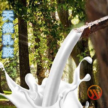 徐州睢宁县含量60%无氨乳胶低氨乳胶天然乳胶现货出售