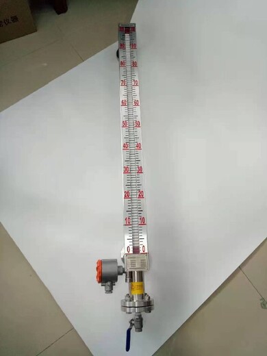 湖南郴州供应磁翻板液位计定制,侧装磁翻板液位计