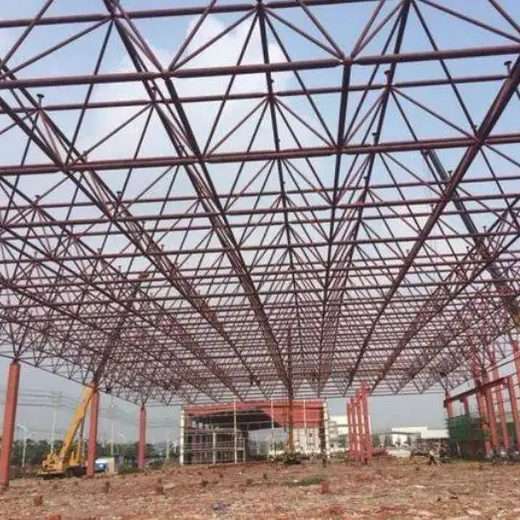 新疆和田市钢结构网架型号