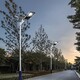 北京太阳能路灯生产图