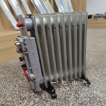 重庆防爆取暖器1.5kwBDR2KW,防爆油汀