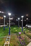 乌兰察布生产庭院灯,LED装饰灯